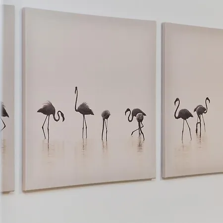 Riverside Na Grobli By Renters * Vratislav